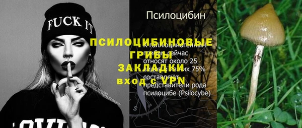 соль курить ск Богданович