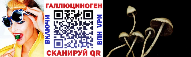 Псилоцибиновые грибы мицелий  Ярцево 